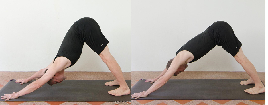 Can Exercise Help with Bulging Disc Pain? A Comprehensive