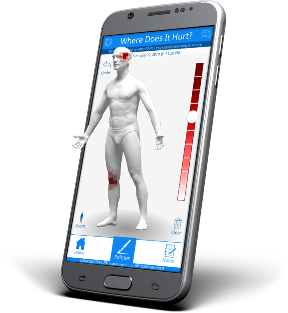 Healthcare at Your Fingertips: The Future of Chronic Pain Apps