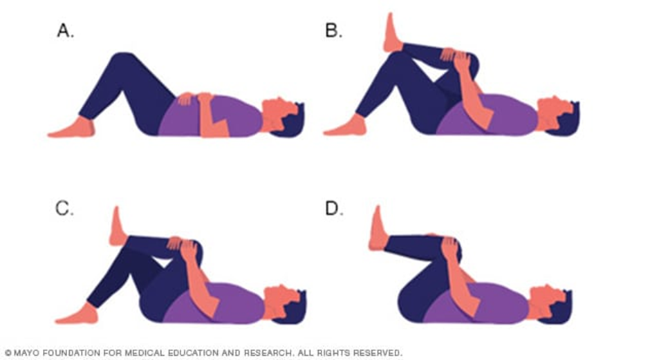 What Does the Research Say About Exercise in Pain Rehabilitation?